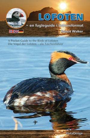 Lofoten -en fugleguide i lommeformat (Bind I) - A Pocket Guide to the Birds of Lofoten (Volume I)