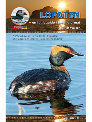 Lofoten -en fugleguide i lommeformat (Bind I) - A Pocket Guide to the Birds of Lofoten (Volume I)